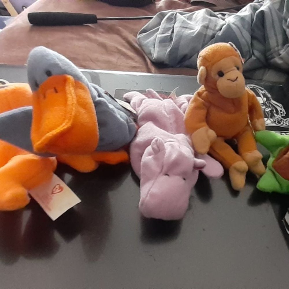Bundle of 5 Mini Beanie babies. You get ALL 5 that are seen in this listing!!